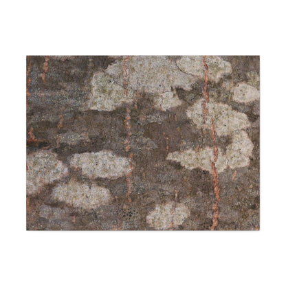 Earthen Memoir - Unique Frameless Canvas Wall Art - Art By Earth