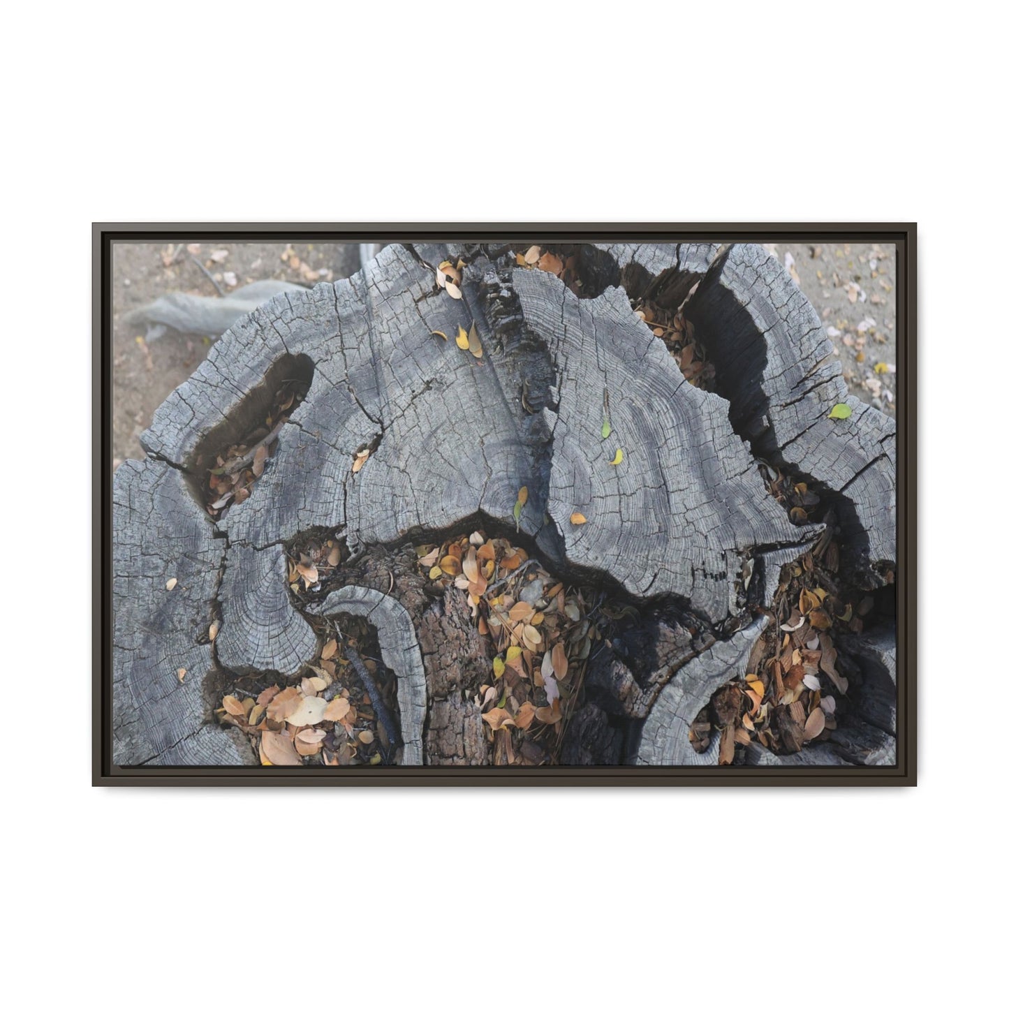Time's Fractal Memory - Unique Stretched Canvas Wall Art - Art By Earth