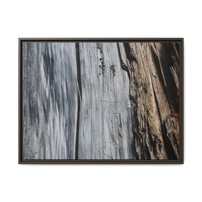 Wood's Lament - Unique Stretched Canvas Wall Art - Art By Earth
