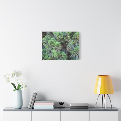 Green Labyrinth - Unique Frameless Canvas Wall Art - Art By Earth