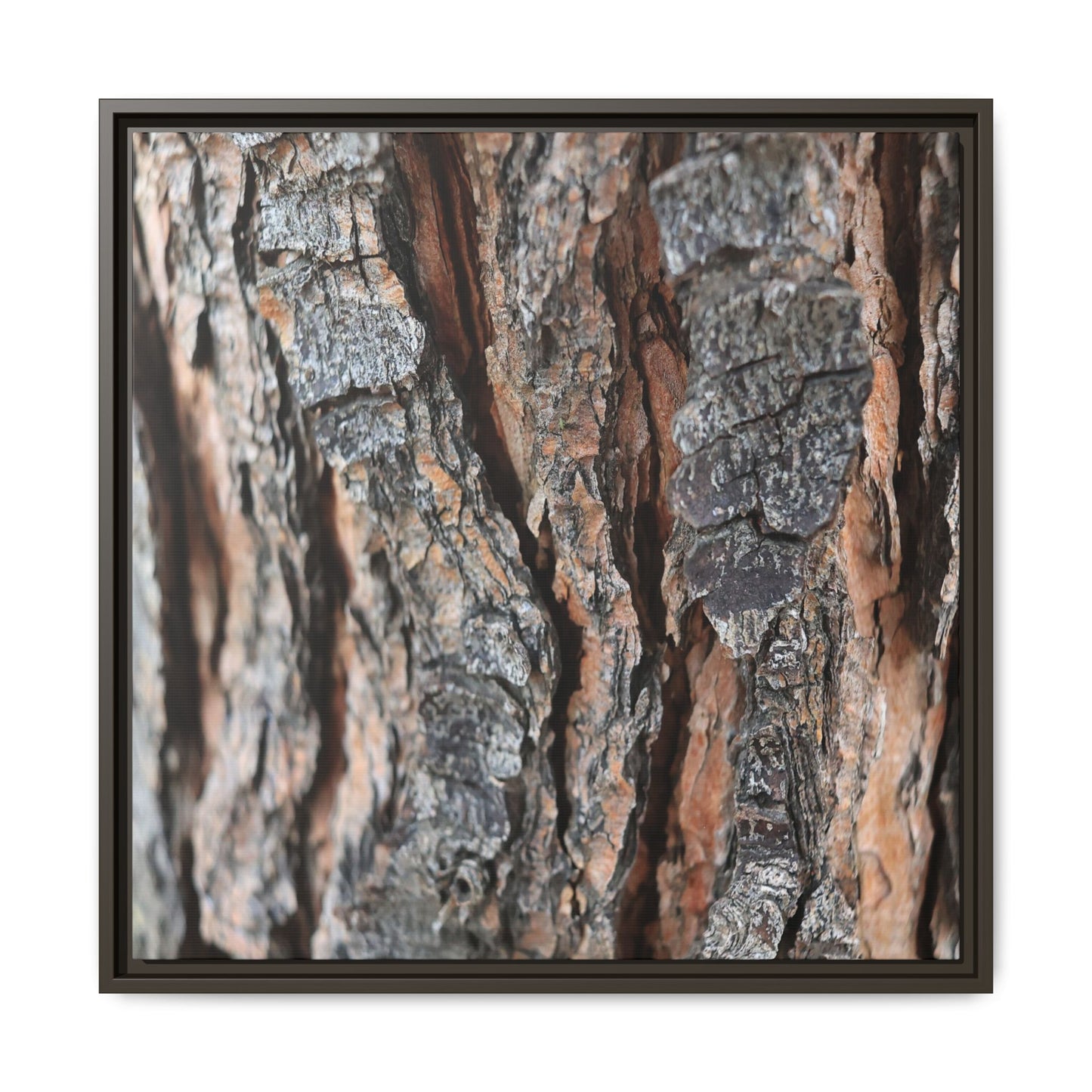 Fractured Nature - Unique Stretched Canvas Wall Art - Art By Earth