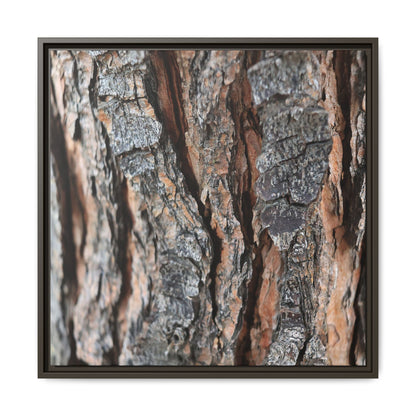 Fractured Nature - Unique Stretched Canvas Wall Art - Art By Earth