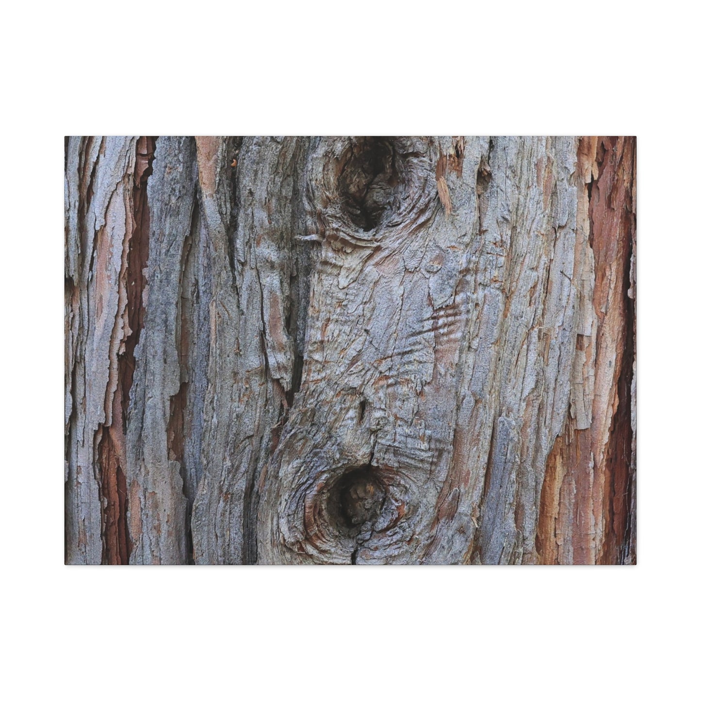 Wooden Memoir - Unique Frameless Canvas Wall Art - Art By Earth