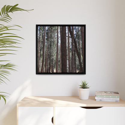 Forest Cathedral - Unique Stretched Canvas Wall Art - Art By Earth