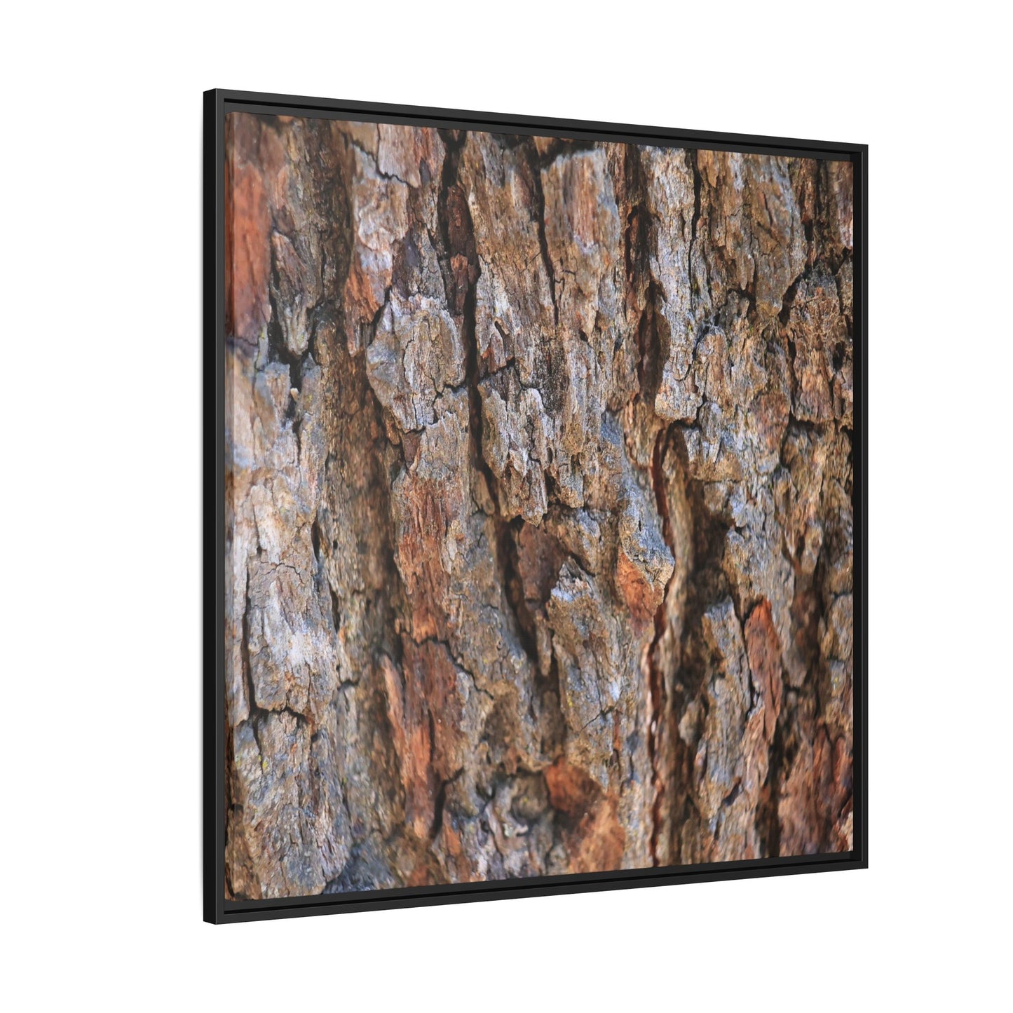 Craggy Textures - Unique Stretched Canvas Wall Art - Art By Earth