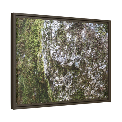 Lichen Landscape - Unique Stretched Canvas Wall Art - Art By Earth