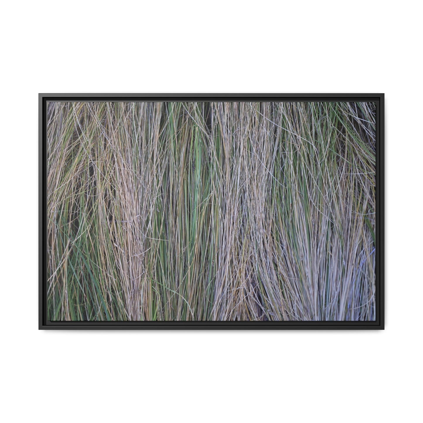 Whispers of Silver Grass - Unique Stretched Canvas Wall Art - Art By Earth