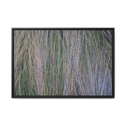 Whispers of Silver Grass - Unique Stretched Canvas Wall Art - Art By Earth