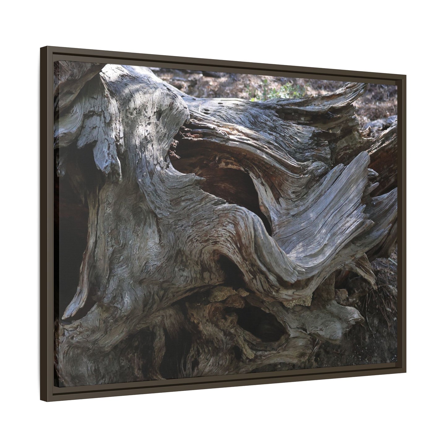 Twisted Memories - Unique Stretched Canvas Wall Art - Art By Earth