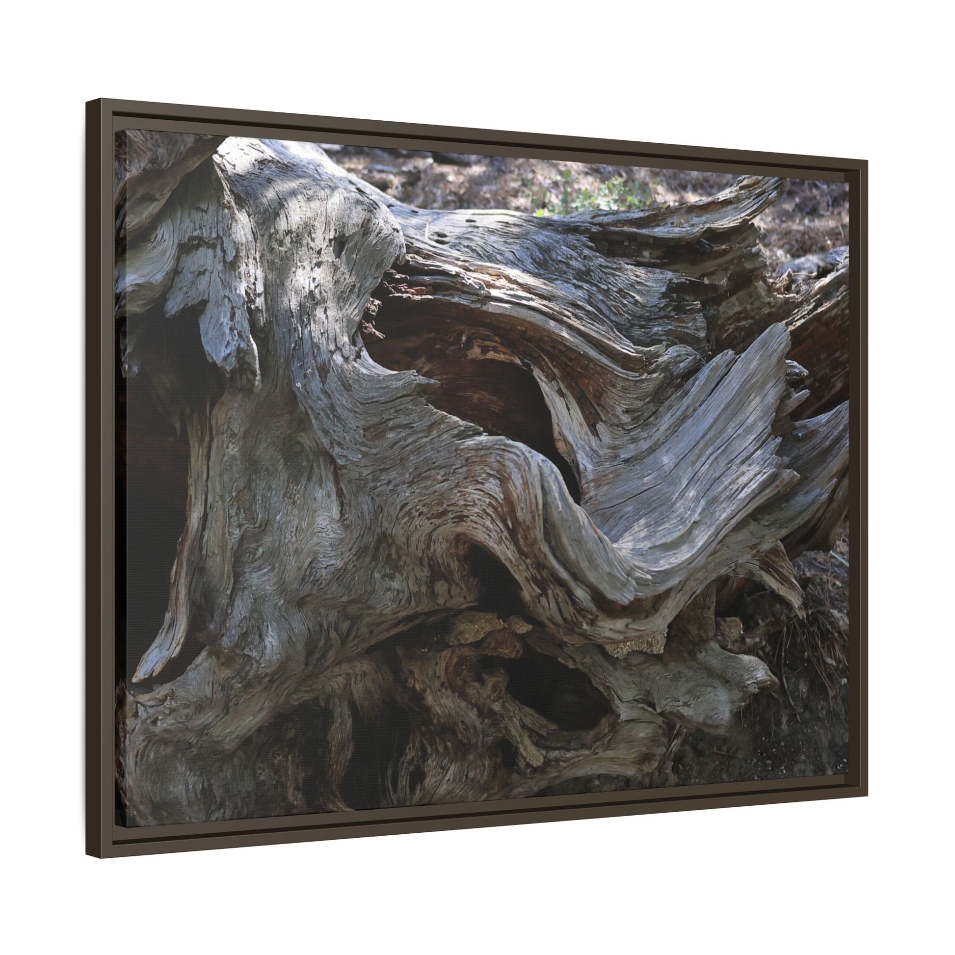 Twisted Memories - Unique Stretched Canvas Wall Art - Art By Earth