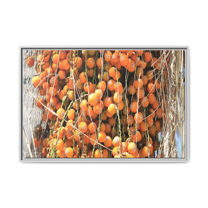 Clusters of Sunlight - Unique Canvas Wall Art - Art By Earth