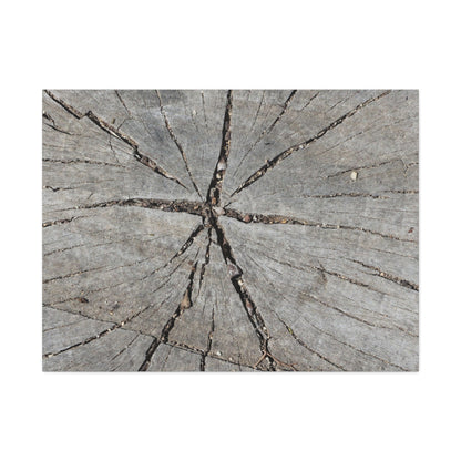 Cracked Chronicle - Unique Frameless Canvas Wall Art - Art By Earth