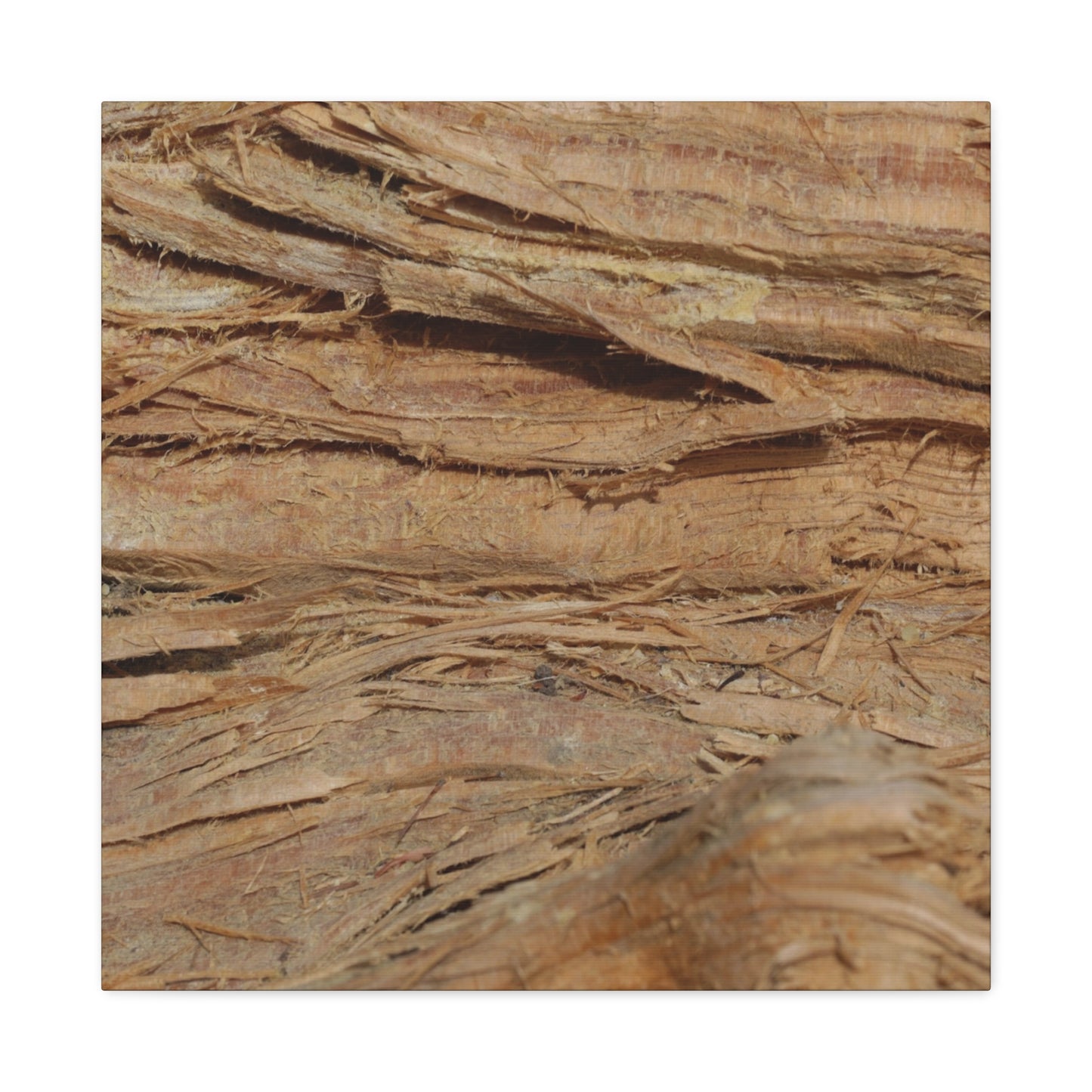 Layers of Memory - Unique Frameless Canvas Wall Art - Art By Earth