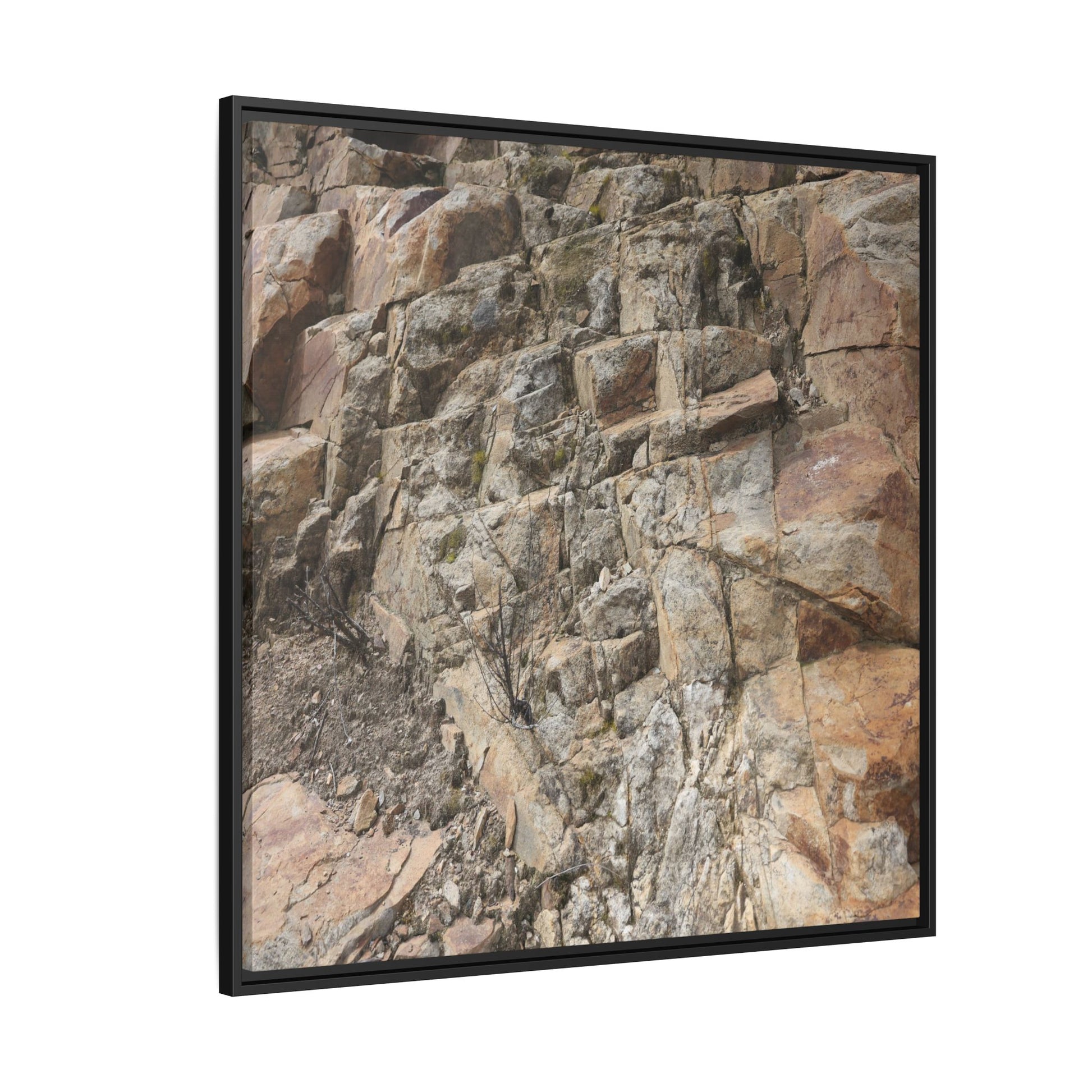 Stone's Silent Story - Unique Stretched Canvas Wall Art - Art By Earth