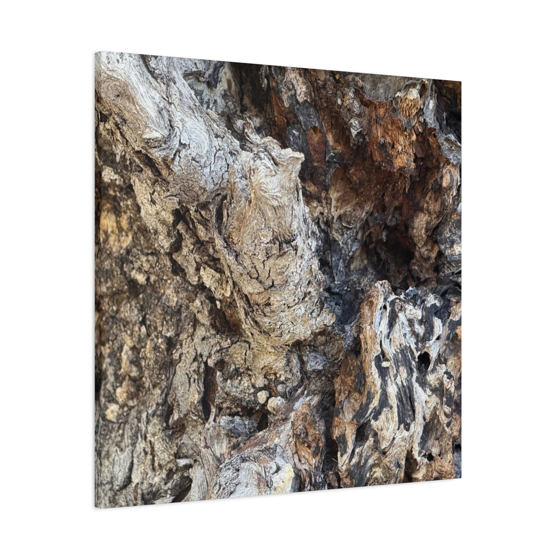 Weathered Bark Texture - Unique Frameless Canvas Wall Art - Art By Earth