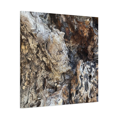 Weathered Bark Texture - Unique Frameless Canvas Wall Art - Art By Earth
