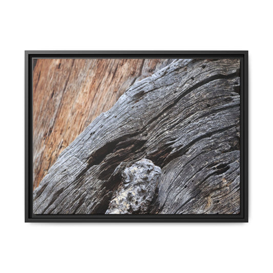 Time's Mark on Timber - Unique Stretched Canvas Wall Art - Art By Earth