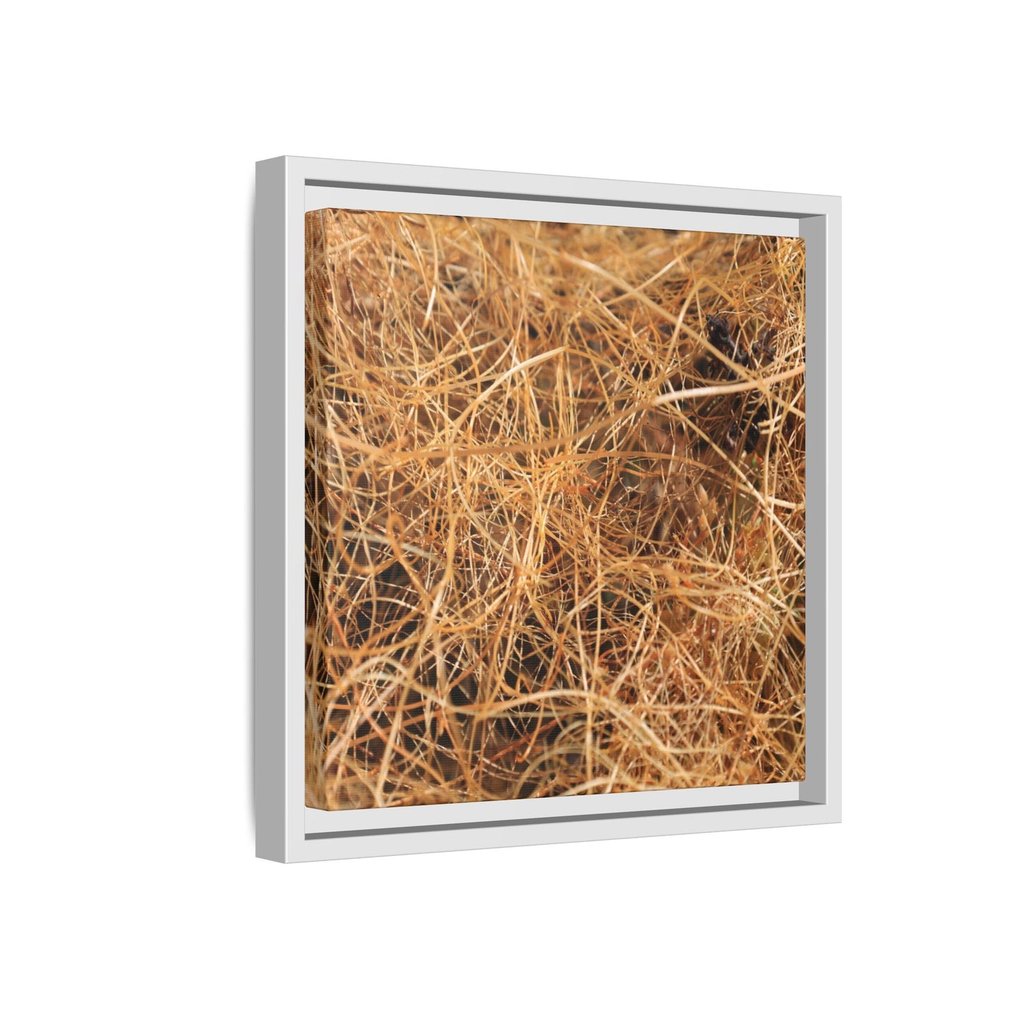 Dried Grass - Unique Stretched Canvas Wall Art - Art By Earth