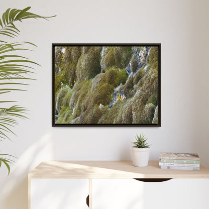 Moss Symphony - Unique Stretched Canvas Wall Art