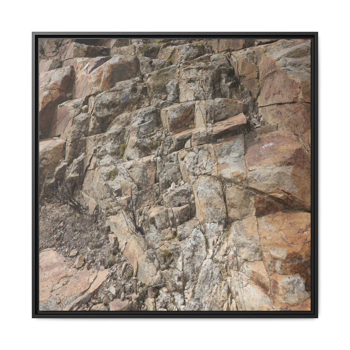 Stone's Silent Story - Unique Stretched Canvas Wall Art - Art By Earth