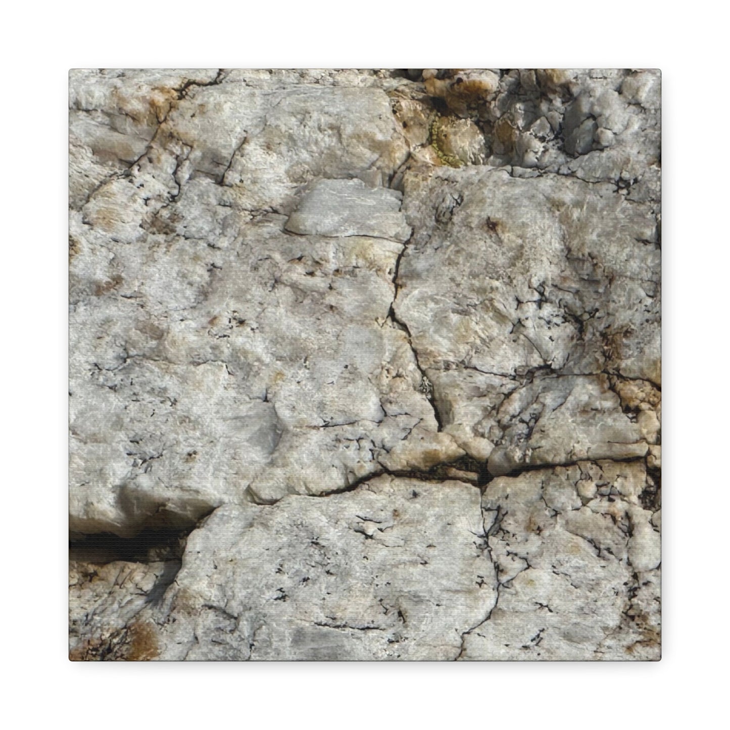 Ancient Rock Face - Unique Frameless Canvas Wall Art - Art By Earth