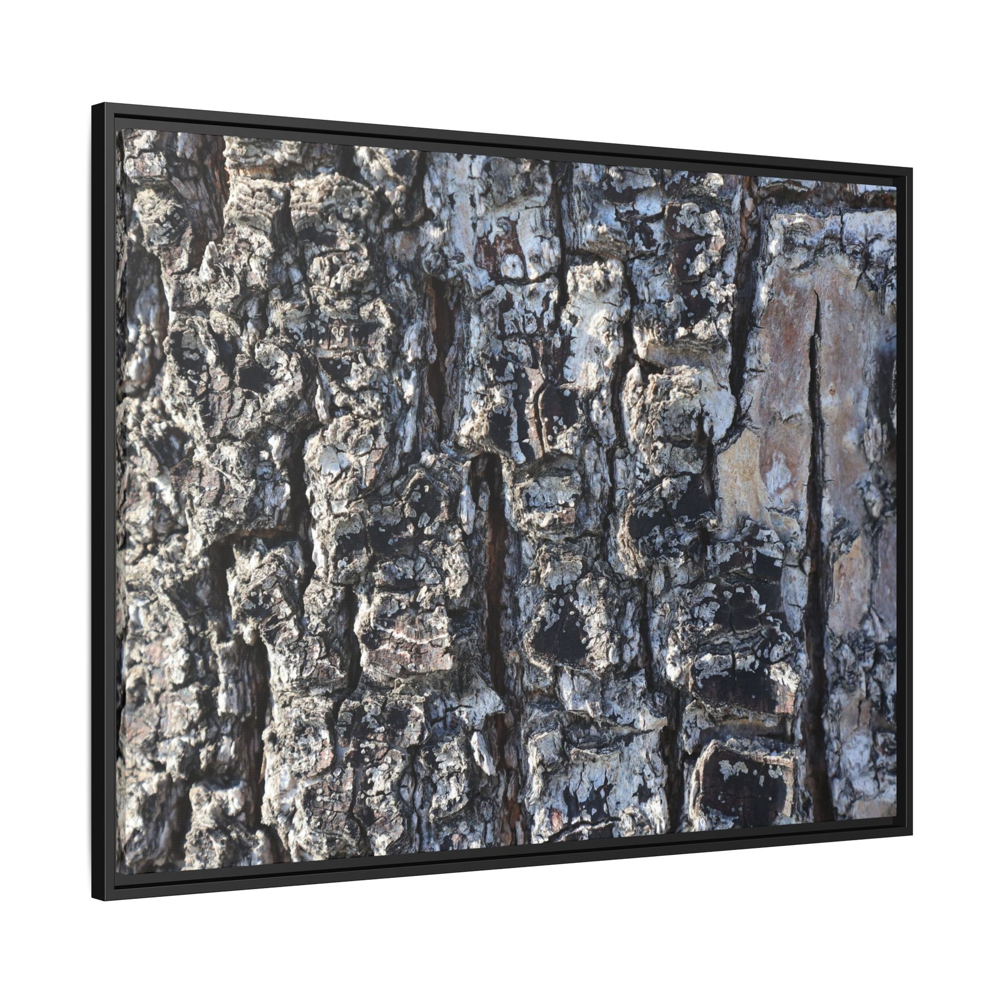 The Bark Chronicles - Unique Stretched Canvas Wall Art - Art By Earth