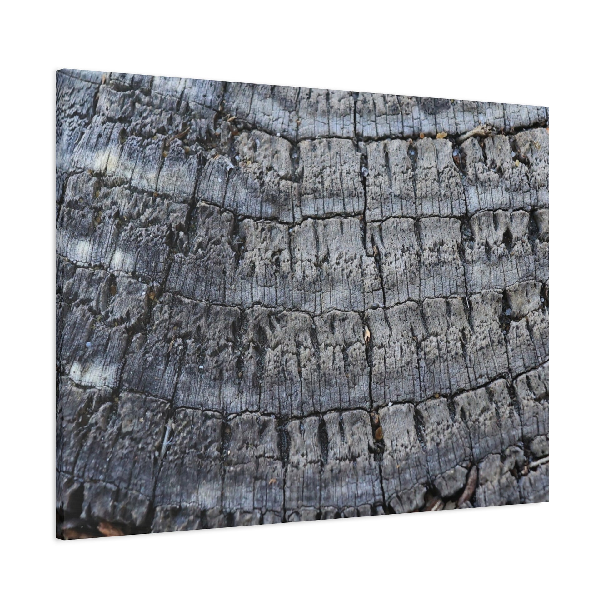 Whispers of Age - Unique Frameless Canvas Wall Art - Art By Earth