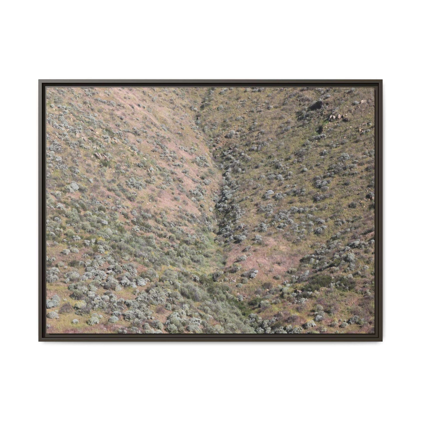 Mountain Slope with Desert Vegetation - Unique Stretched Canvas Wall Art - Art By Earth