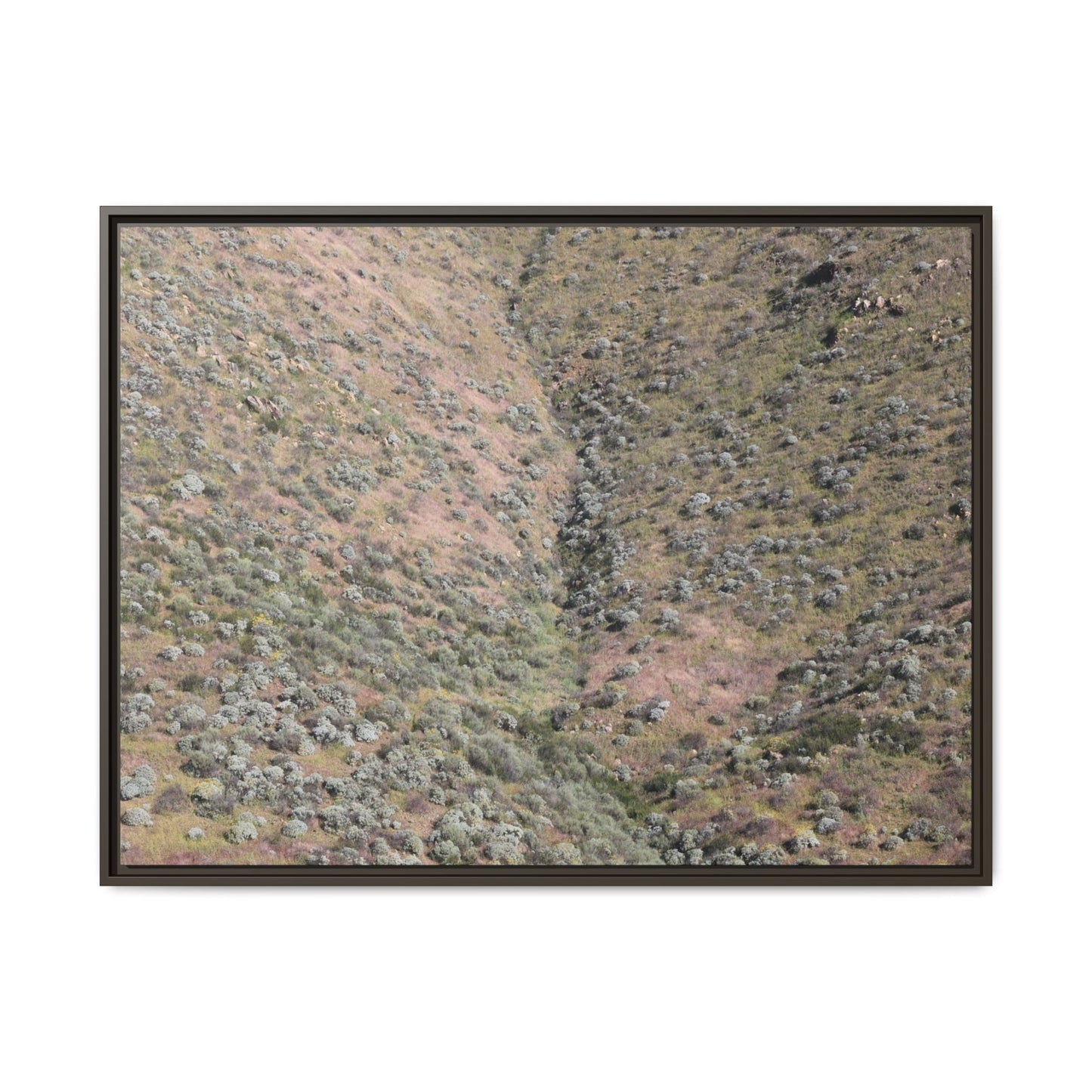 Mountain Slope with Desert Vegetation - Unique Stretched Canvas Wall Art - Art By Earth