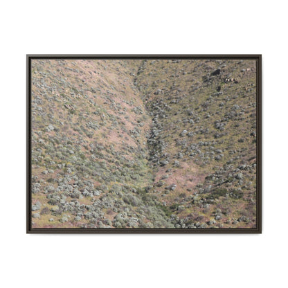 Mountain Slope with Desert Vegetation - Unique Stretched Canvas Wall Art - Art By Earth