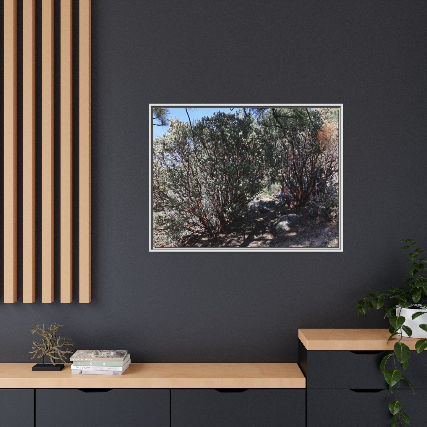 Desert Trail Through Blooming Manzanita - Unique Stretched Canvas Wall Art