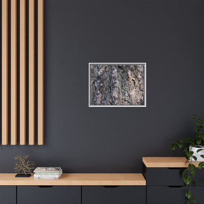 Weathered Patterns - Unique Stretched Canvas Wall Art - Art By Earth