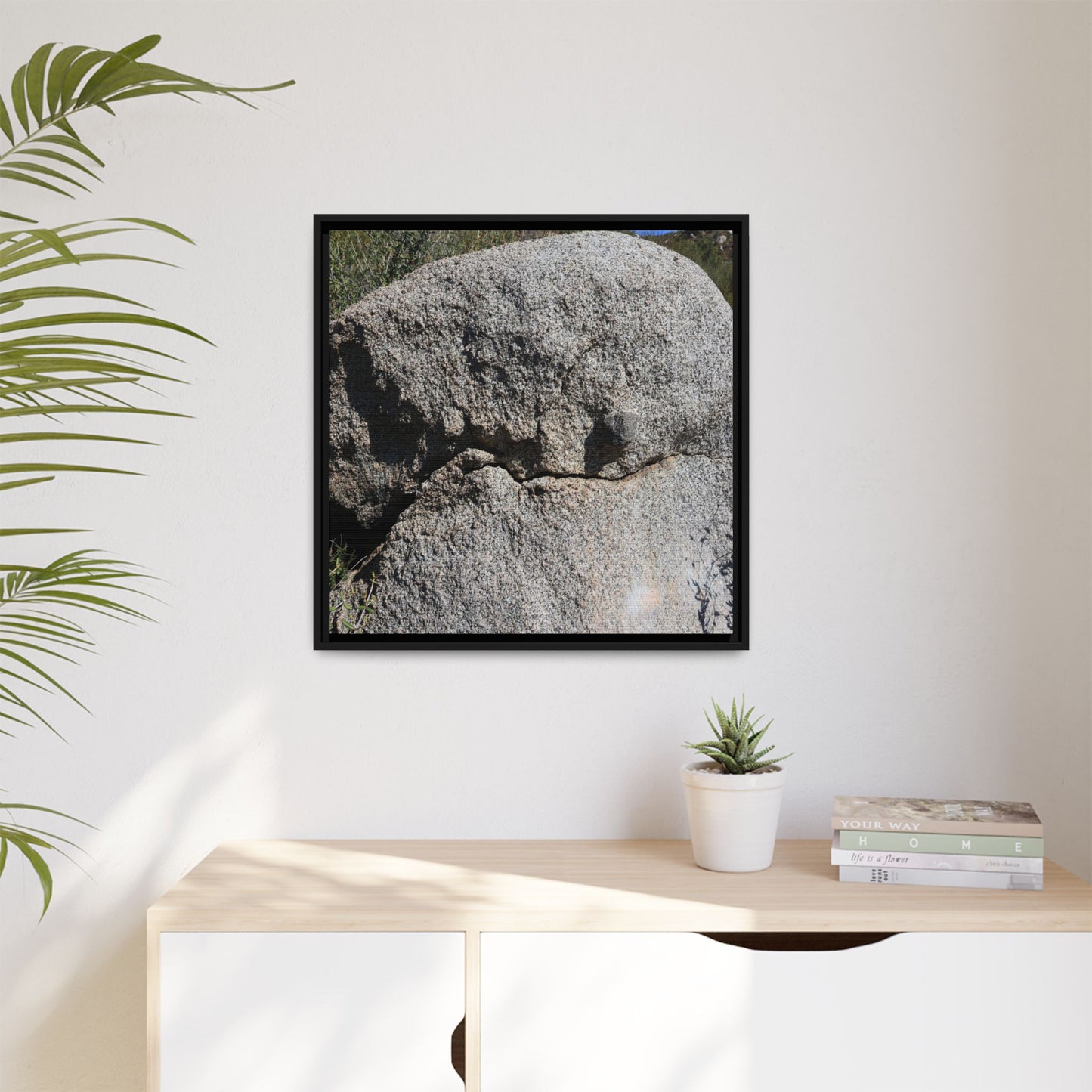 Stone Skull in Desert - Unique Stretched Canvas Wall Art
