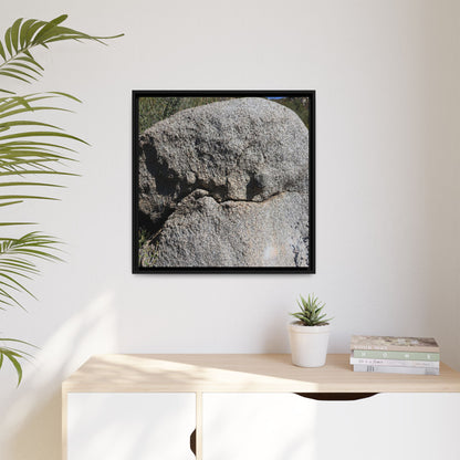 Stone Skull in Desert - Unique Stretched Canvas Wall Art