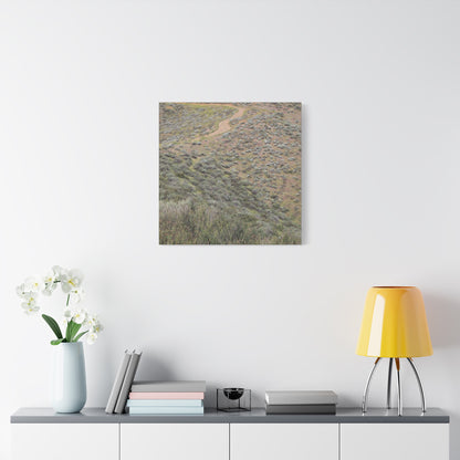 Desert Path Through Sagebrush - Unique Frameless Canvas Wall Art - Art By Earth