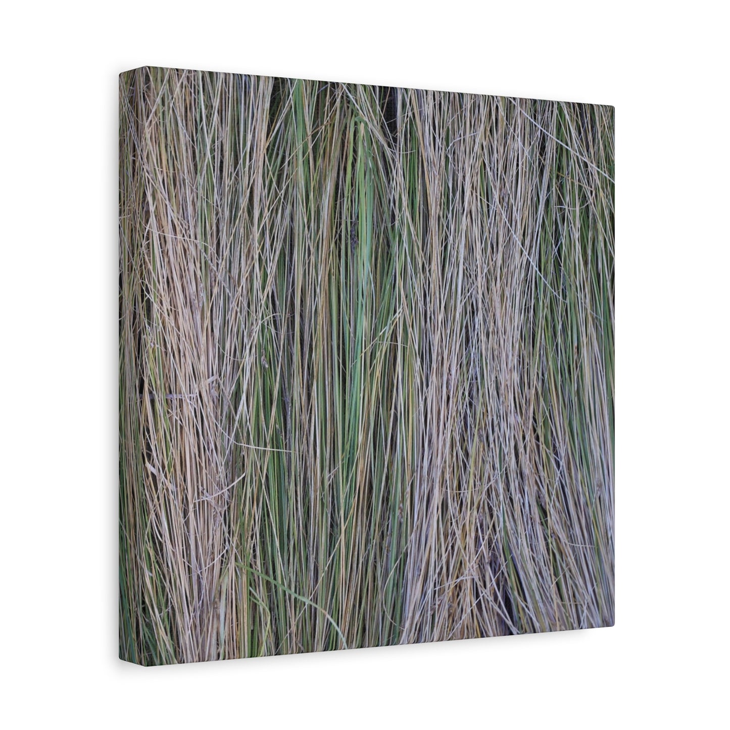 Whispers of Grass - Unique Frameless Canvas Wall Art - Art By Earth