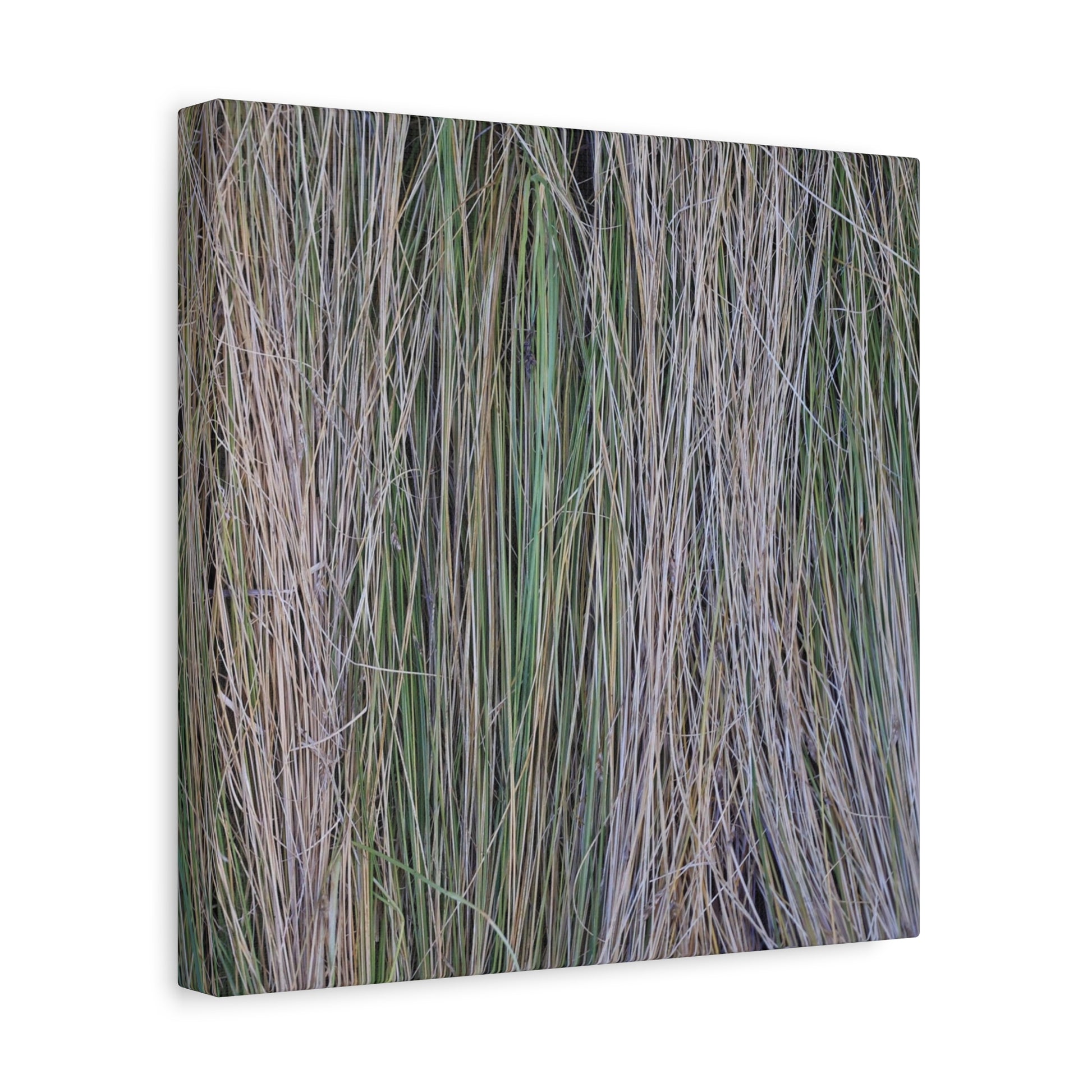 Whispers of Grass - Unique Frameless Canvas Wall Art - Art By Earth