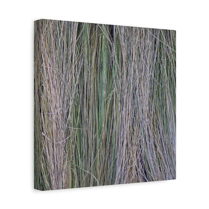 Whispers of Grass - Unique Frameless Canvas Wall Art - Art By Earth