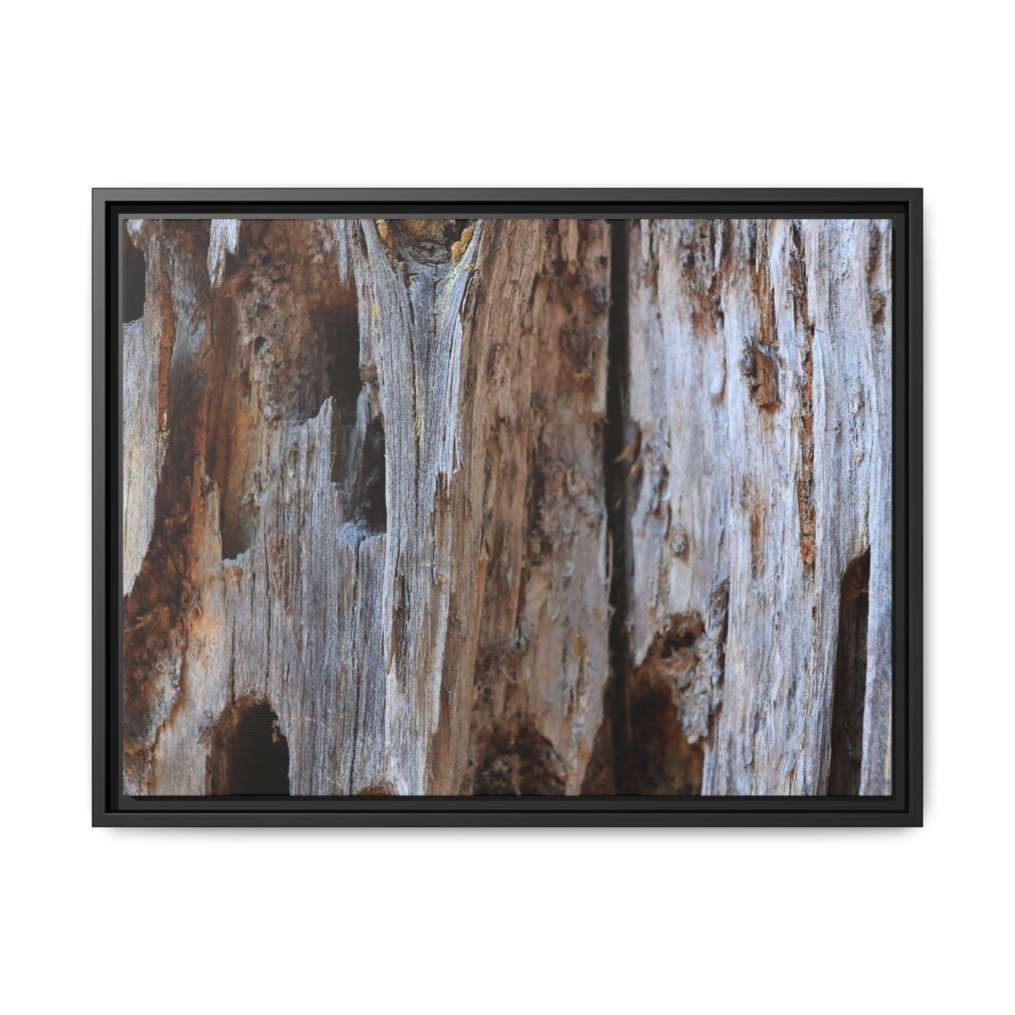 Decaying Splendor - Unique Stretched Canvas Wall Art - Art By Earth