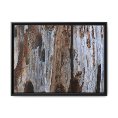 Decaying Splendor - Unique Stretched Canvas Wall Art - Art By Earth