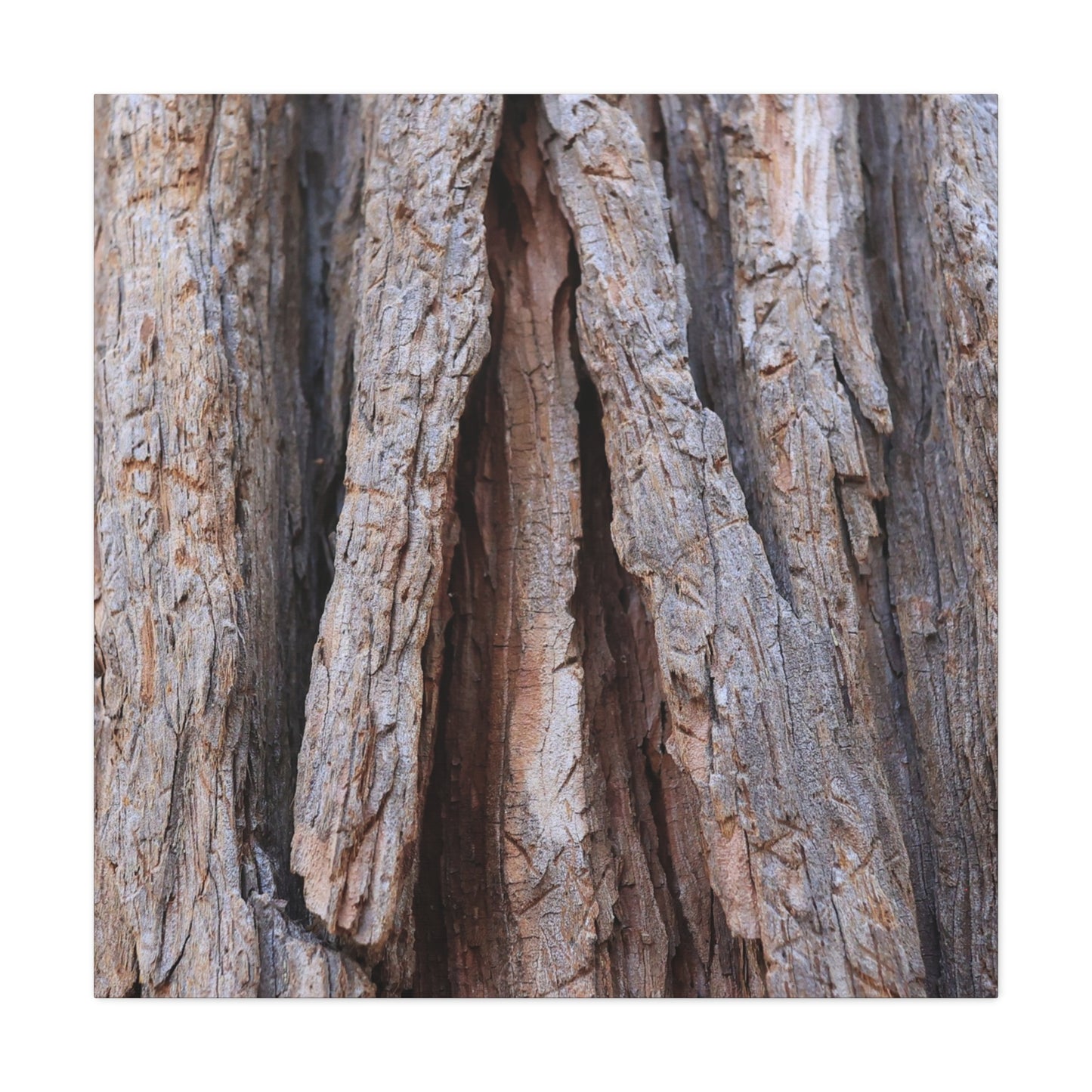 Fractured Skin of Time - Unique Frameless Canvas Wall Art - Art By Earth