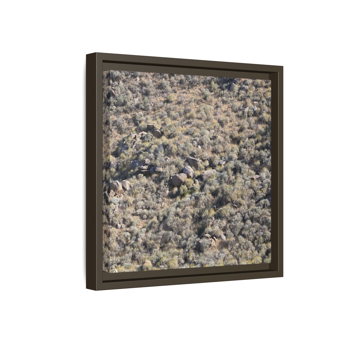 Arid Terrain Study - Unique Stretched Canvas Wall Art - Art By Earth