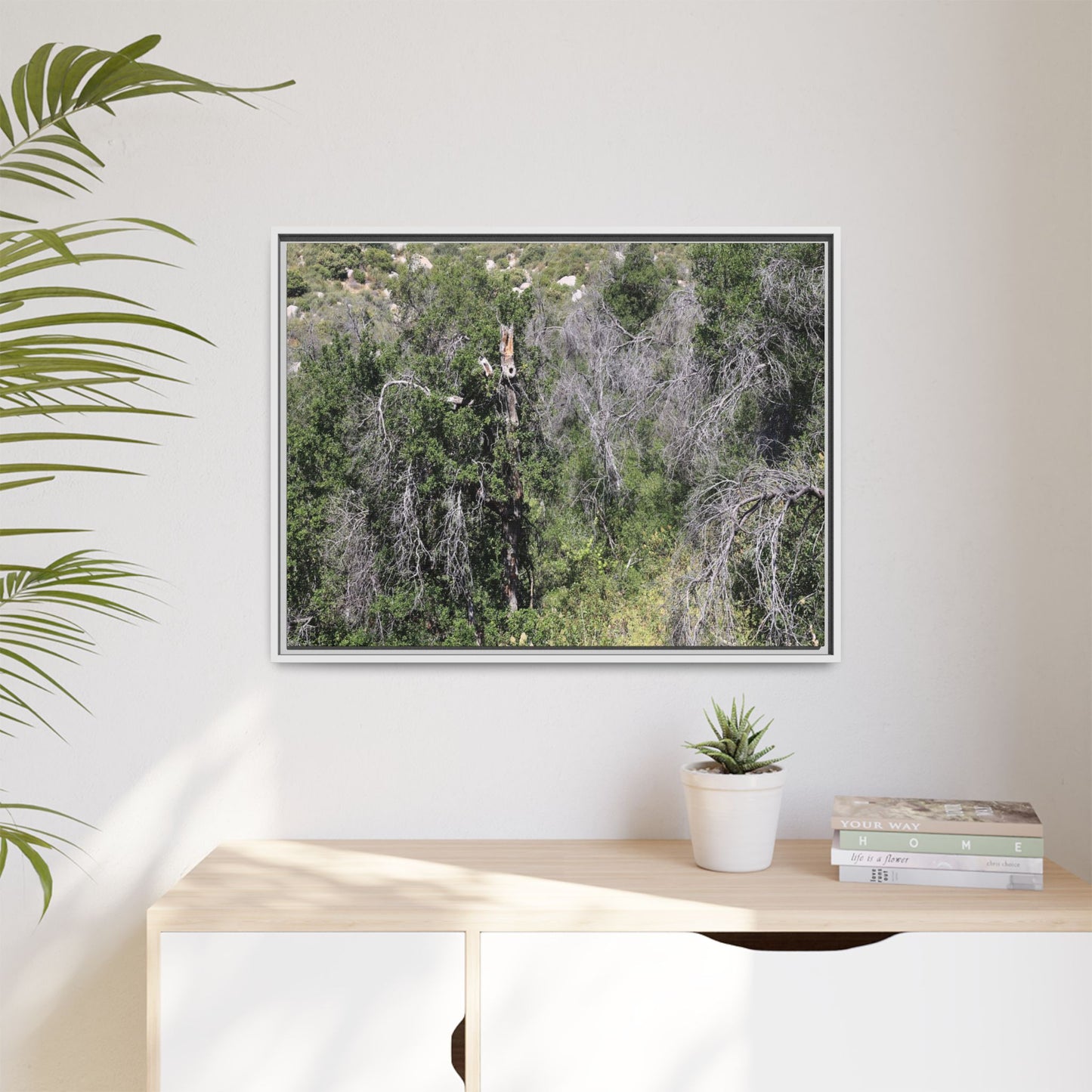 Forest Decline - Unique Stretched Canvas Wall Art
