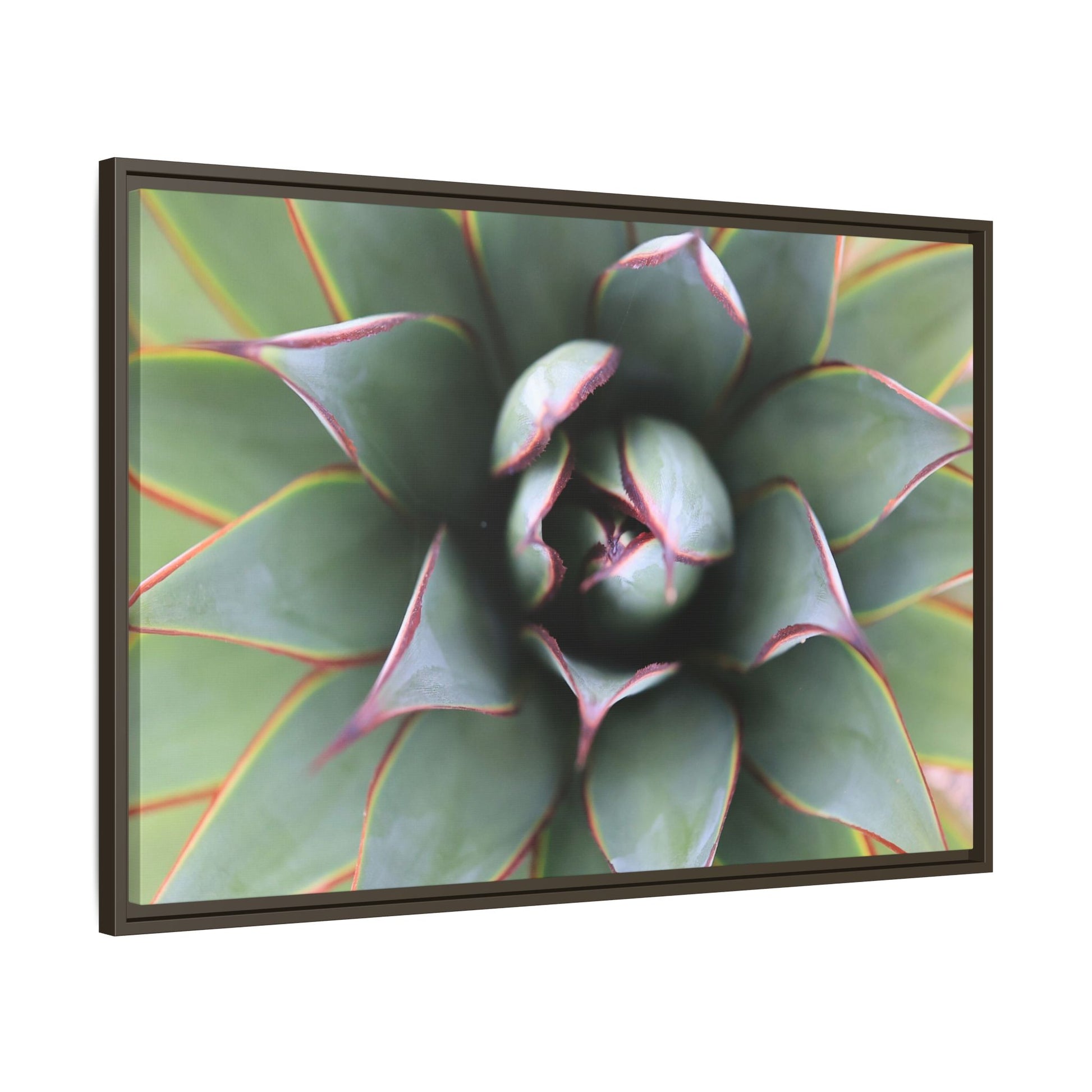 Spiky Elegance - Unique Stretched Canvas Wall Art - Art By Earth