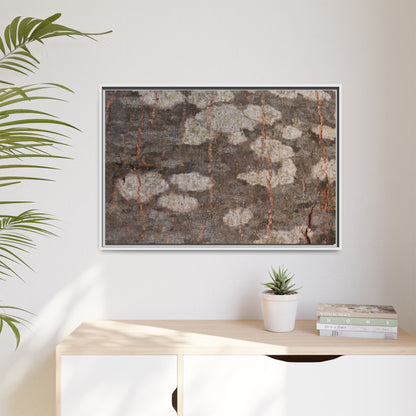 Lichen's Legacy - Unique Stretched Canvas Wall Art - Art By Earth