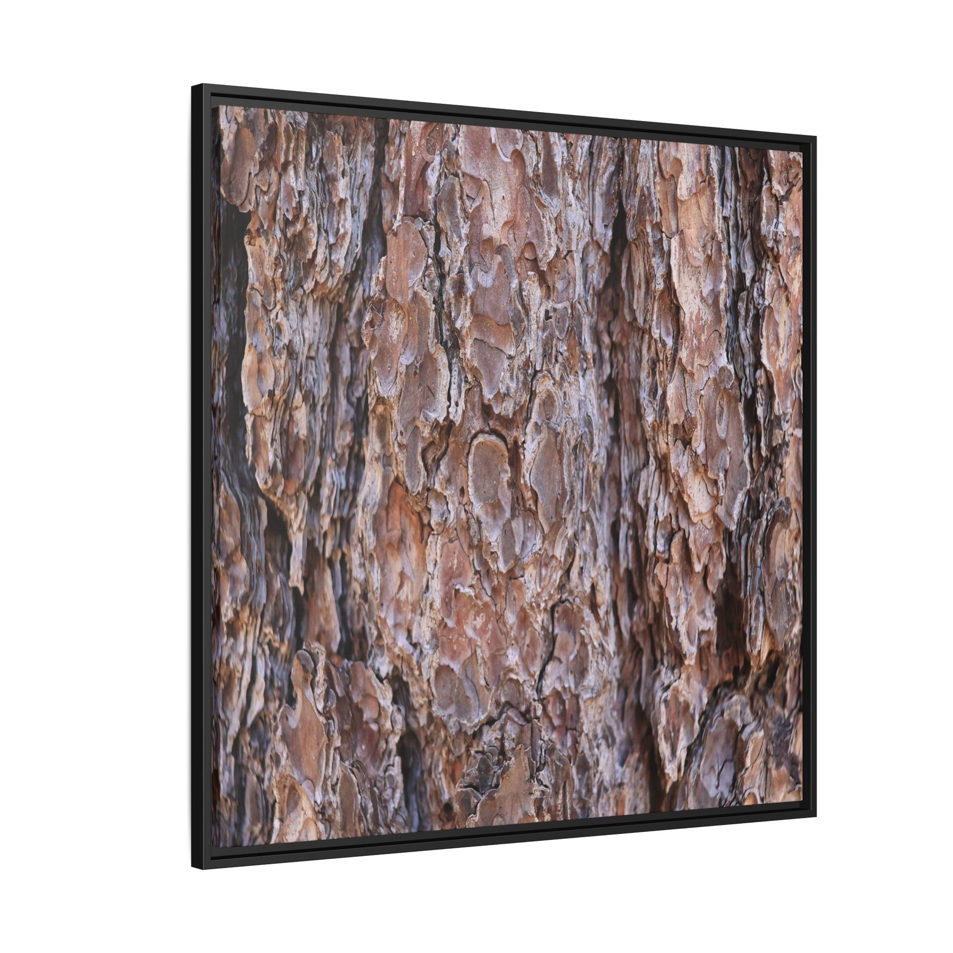 Woody Layers - Unique Stretched Canvas Wall Art - Art By Earth