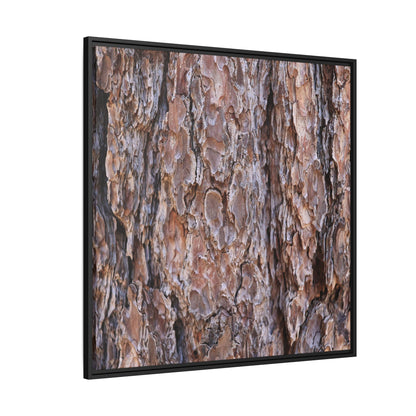 Woody Layers - Unique Stretched Canvas Wall Art - Art By Earth