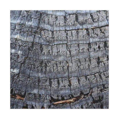 Whispers of Age - Unique Frameless Canvas Wall Art - Art By Earth