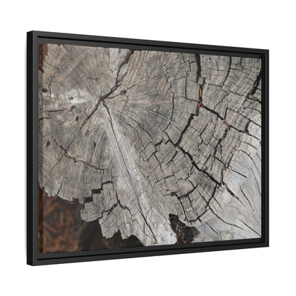 Time's Signature - Unique Stretched Canvas Wall Art - Art By Earth