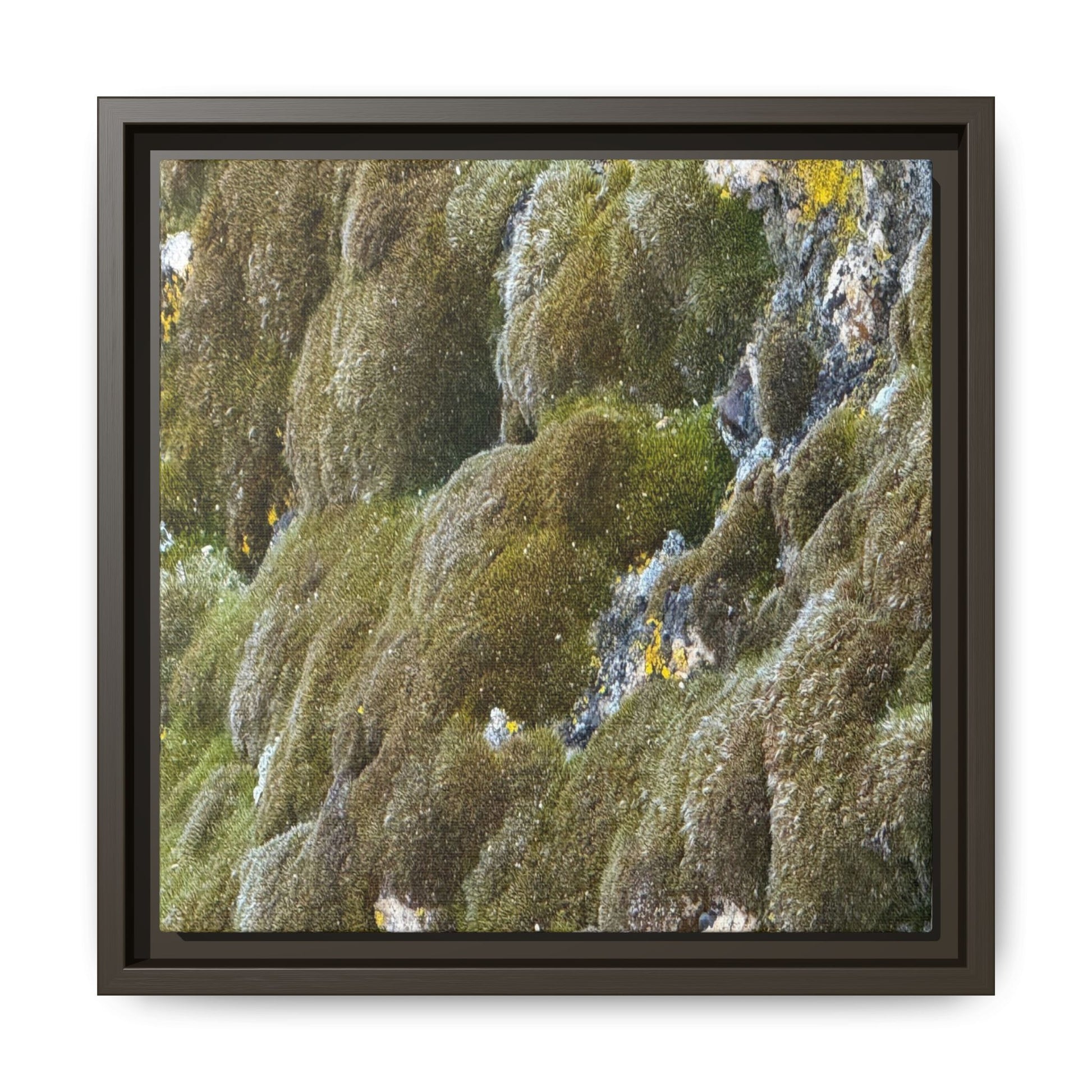 Moss Symphony - Unique Stretched Canvas Wall Art - Art By Earth